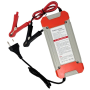 Зарядное устройство Fully Intelligent Pulse Repair Charger, 12–24V, 8A