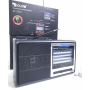 Радиоприемник Golon RX-3050, с встроенным аккумулятором, FM/AM/SW