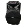 Колонка-чемодан ZX-7780 12" (350W) 60х30х29см