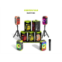 Портативная Bluetooth-колонка Hopestar Party300, 80 Вт, RGB, IPX5