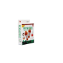 Пластырь детоксикационный для ног Kinoki Cleansing Detox Foot Pads, 10 шт
