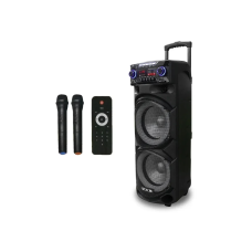 Акустическая переносная колонка ZXX-9292 60Вт 2x10"