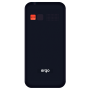 Мобильный телефон ERGO R231 Dual Sim Black, 2.31"