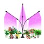 Тройная ультрафиолетовая гибкая фитолампа для растений на прищепке Led Plant Grow Light USB