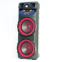 Колонка акустическая ZQS10205, 2×20 Вт, 10"×2, с беспроводным микрофоном
