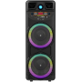 Колонка акустическая ZQS10205, 2×20 Вт, 10"×2, с беспроводным микрофоном