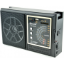 Радиоприёмник GOLON RX-98UAR, FM/AM/SW/TV, USB/SD, MP3/WMA, аккумулятор